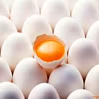 تخم مرغ فله ای باوزن 