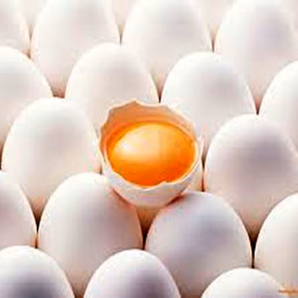 تخم مرغ فله ای باوزن 