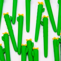 پاکن فانتزی طرح کاکتوس