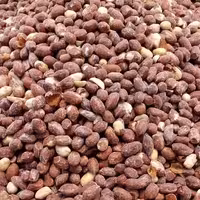 بادام زمینی سنتی(نمکی)(500گرمی)