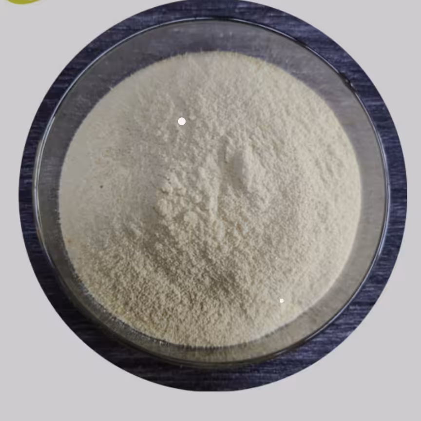 آنزیم گلوکوامیلاز یک کیلویی انزیم گلوکوامیلاز 