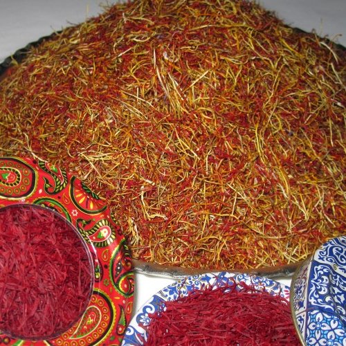 ریشه زعفران(سفیده)امسالی. محصول خاص مزارع قائنات