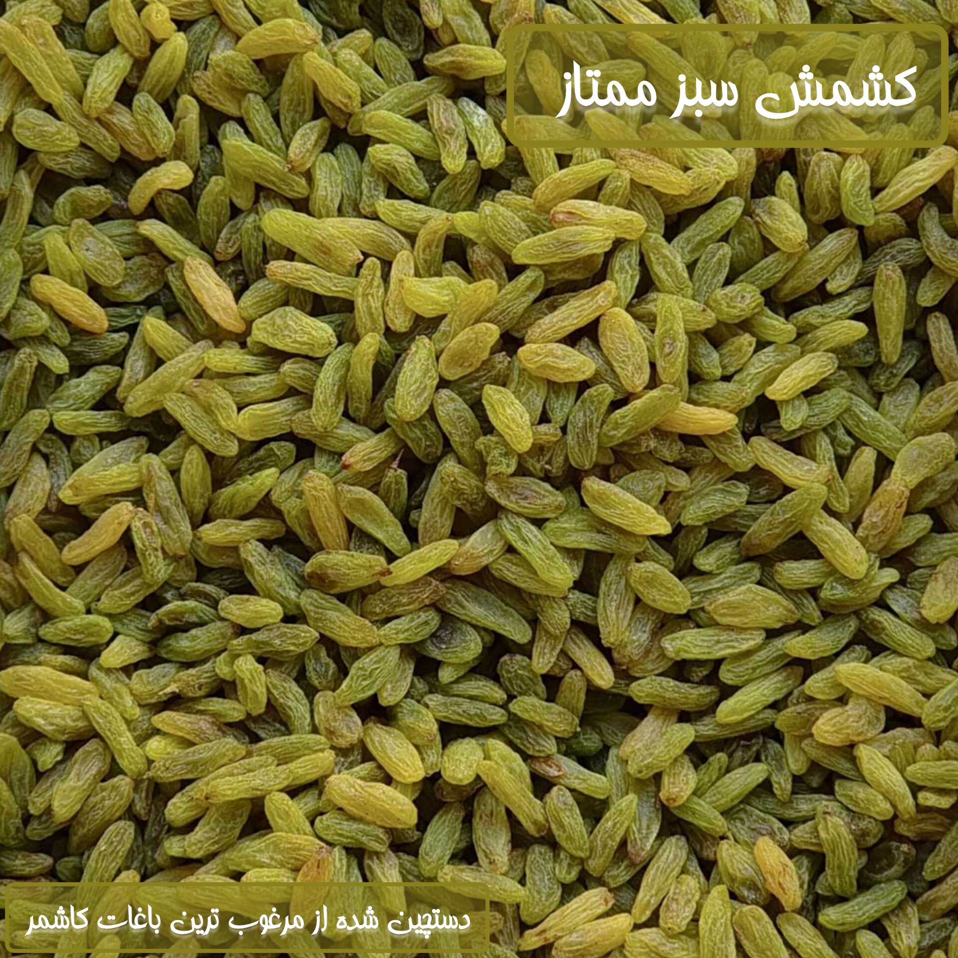 کشمش سبز لوکس و صادراتی پیکامی یک کیلویی برادران حسینی(100درصد رضایت مشتریان)