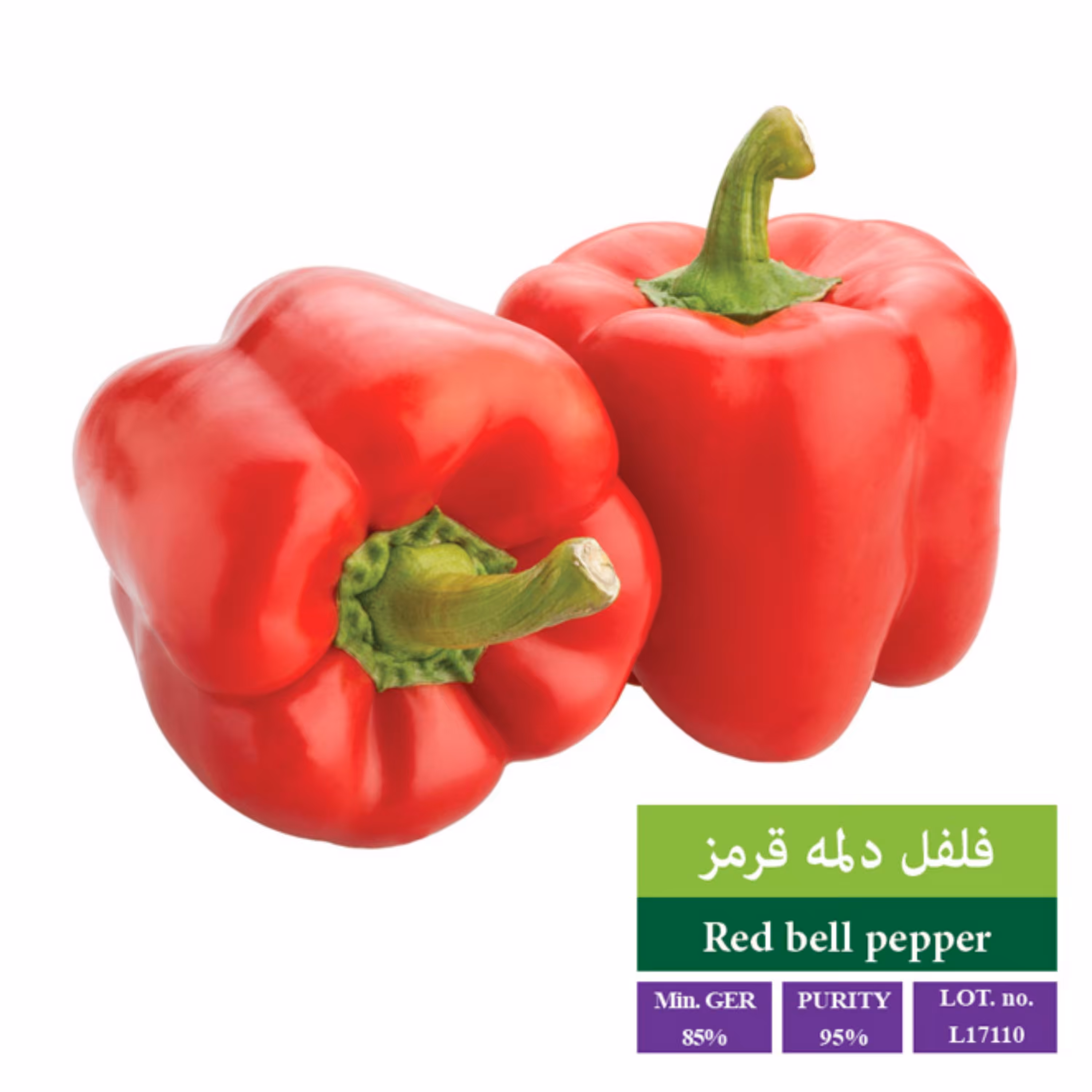 بذر فلفل دلمه قرمز بذر طلایی رویان 