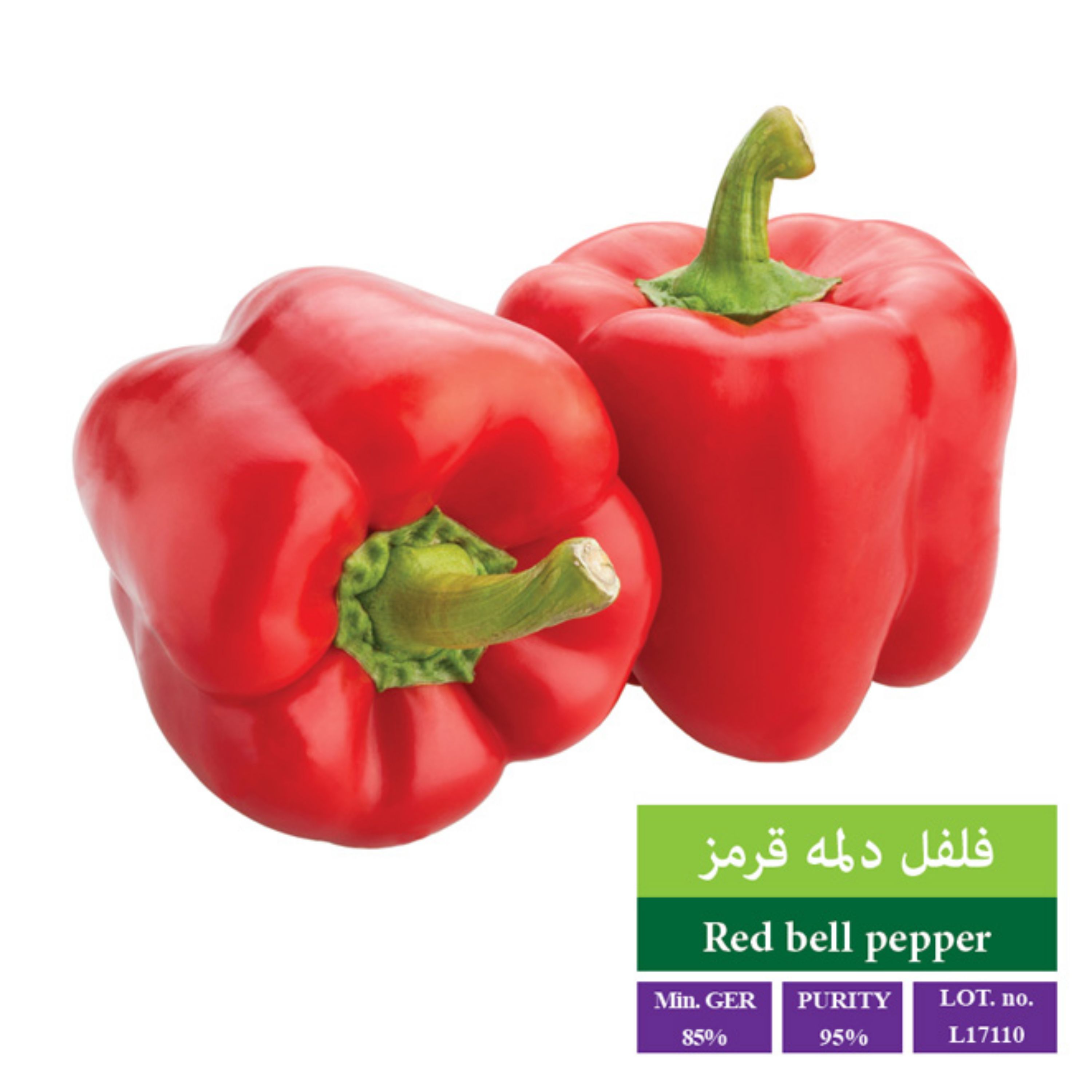 بذر فلفل دلمه قرمز بذر طلایی رویان