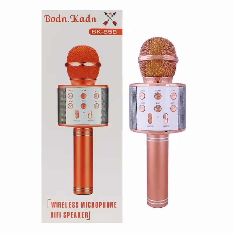 میکروفون و اسپیکر باطری بزرگ کلید رنگی