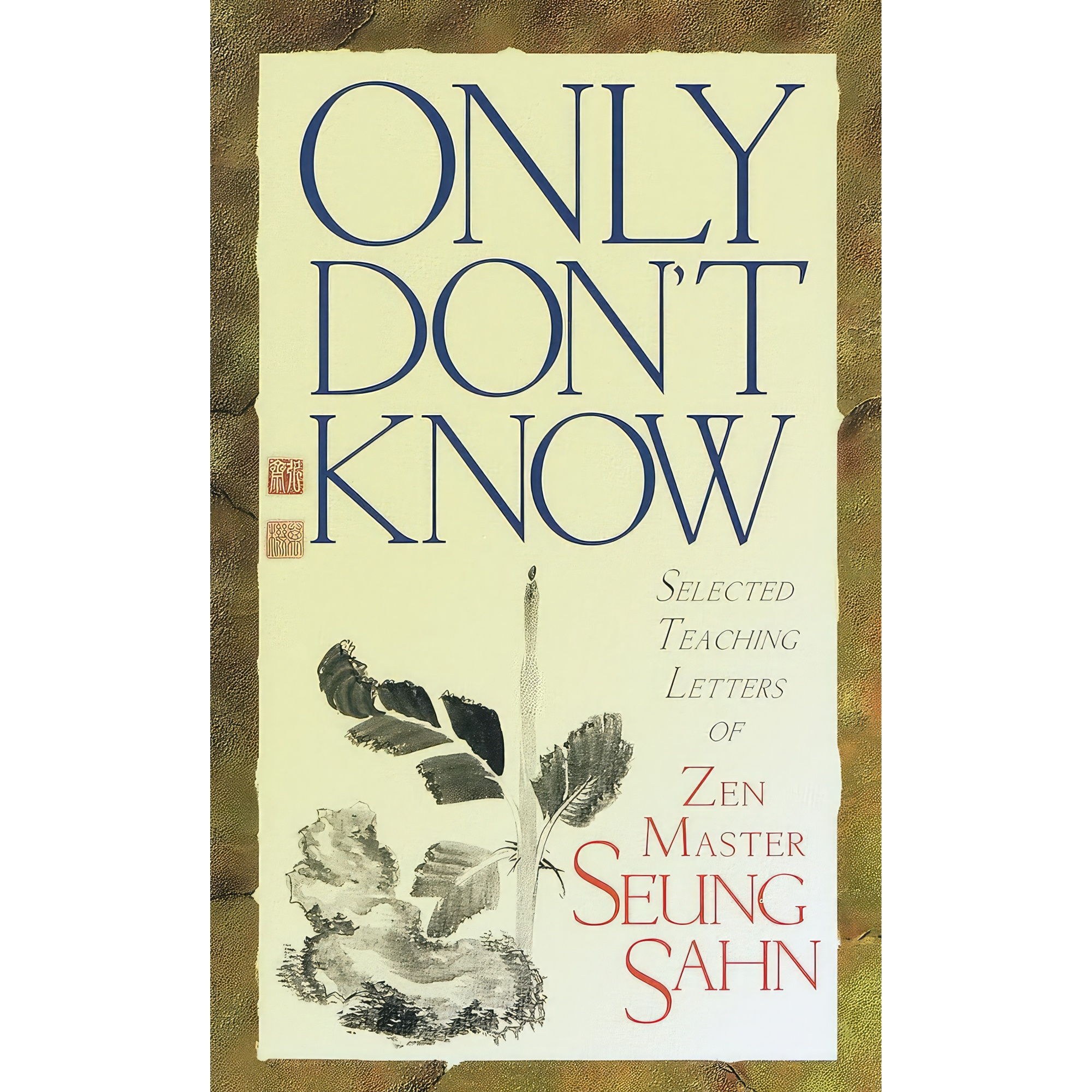 کتاب زبان اصلی Only Dont Know اثر Seung Sahn انتشارات Shambhala