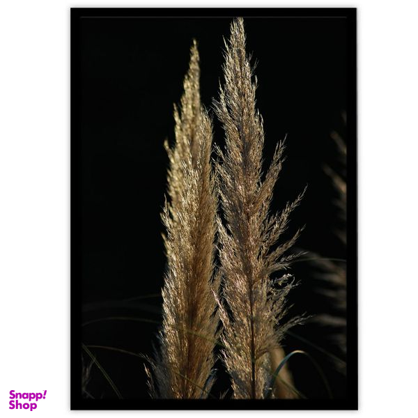 تابلو بکلیت طرح عکاسی طبیعت گندم مدل B-10045