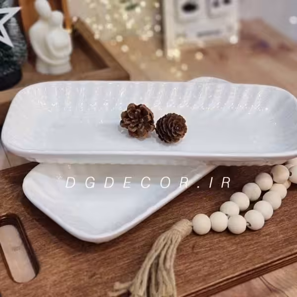 دیس  سرامیکی کباب