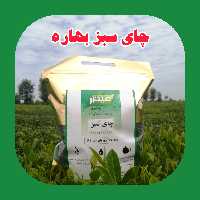 چای سبز قلم بهاره 1403 (1000گرم)