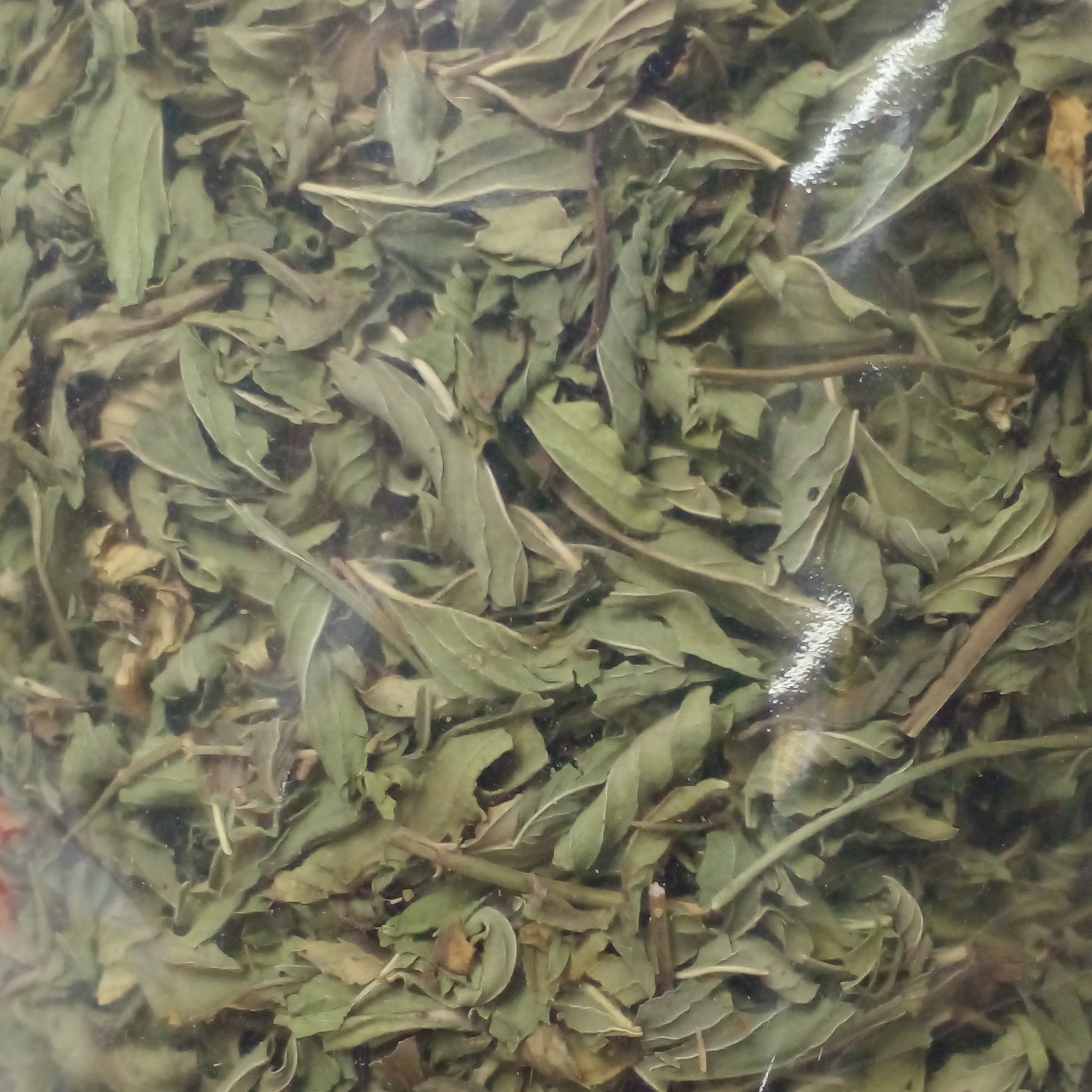 نعنا  برگ امساله (100 گرم)