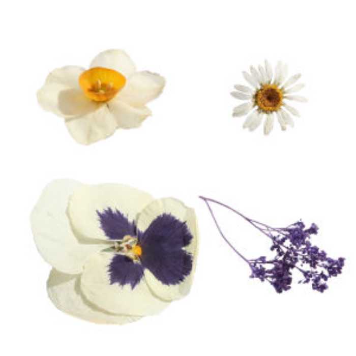 گل خشک مدل رزین اپوکسی ترکیبی مجموعه 4 عددی