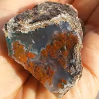 اسلایس سنگ راف شجر دریایی 7رنگ دو طرفه شاهکار خلقت 100 در 100 طبیعی 
شاهکار شاهکار شاهکار خلقت
تابلو نقاشی طبیعیی