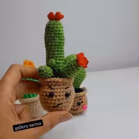 کاکتوس بافت