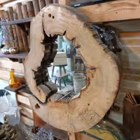 آیینه تنه درخت 