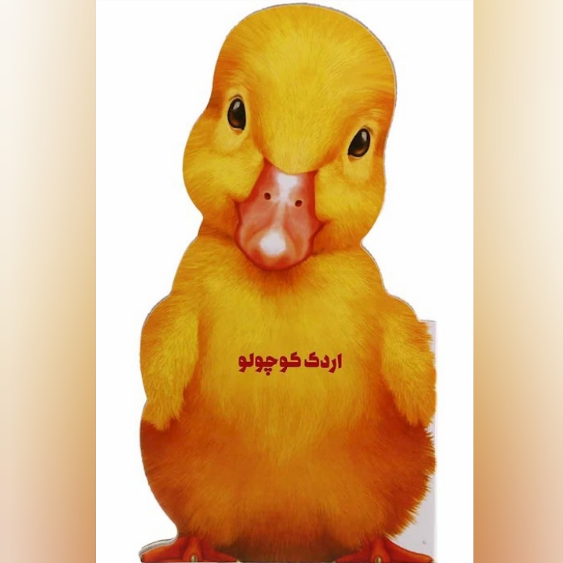 کتاب کودک اردک کوچولو