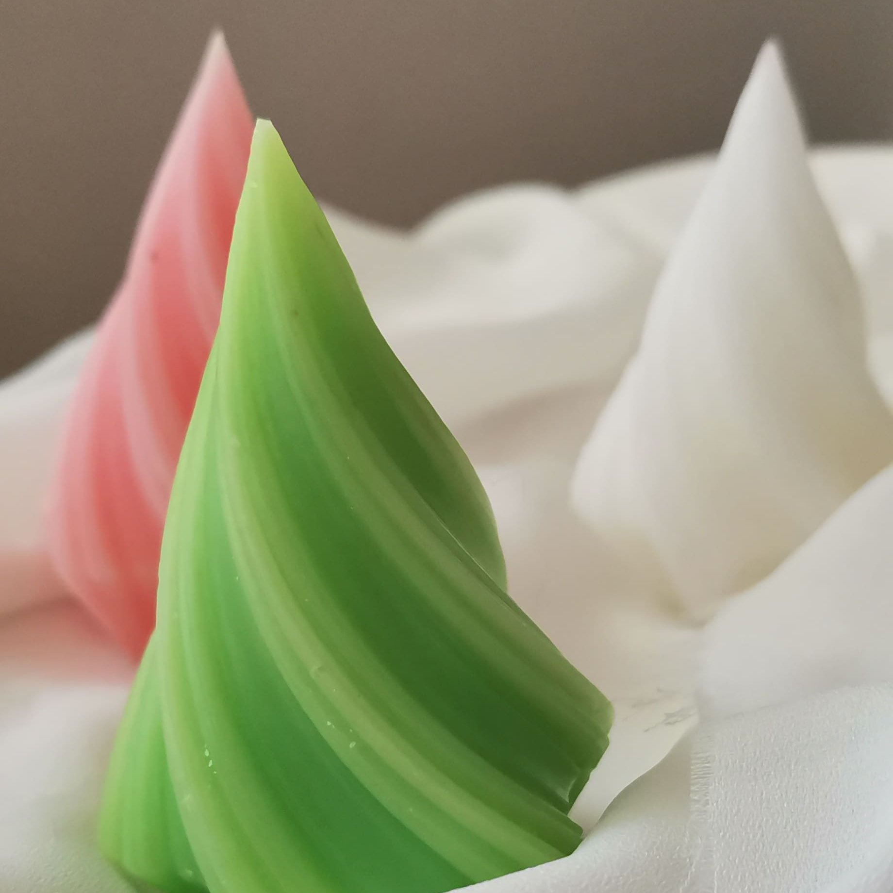 شمع مخروطی پیچیده یا کاج پیچ خورده