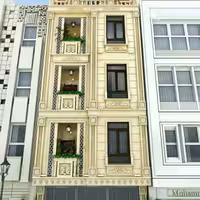 پکیج طراحی نمای سنگی(رومی)