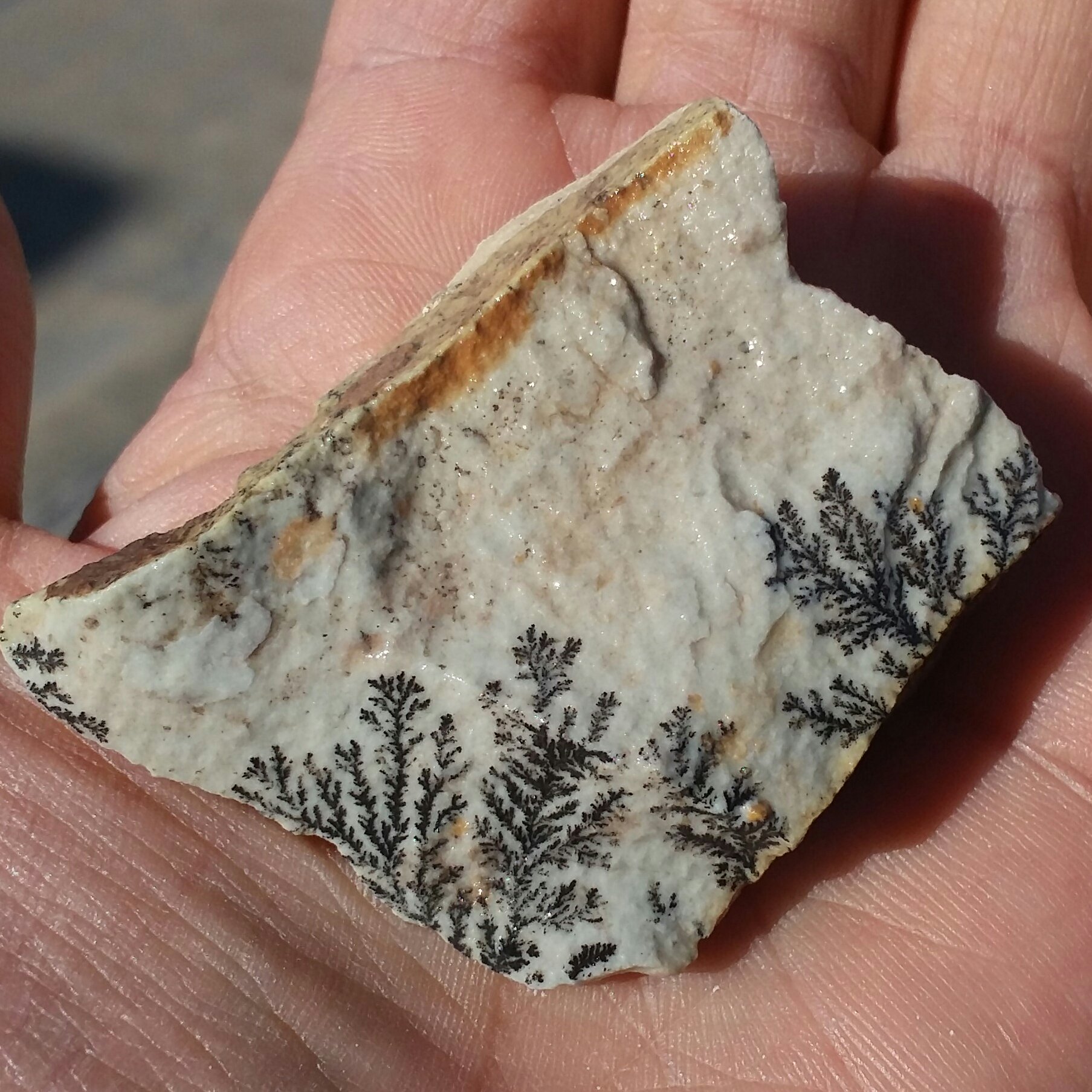 سنگ راف صد در 100 طبیعی شجر دندریتی یا فسیلی ددیدنی محشر رر شاهکاار خلقت
شجر واضح خا اااا ااا اص
نمونه ای بسیااار  زیبا
