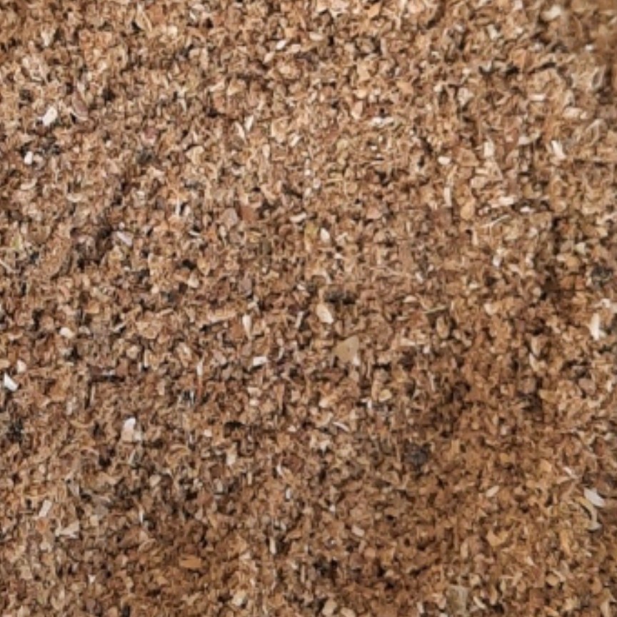 پودر تخم گشنیز اعلاء (1000 گرم)