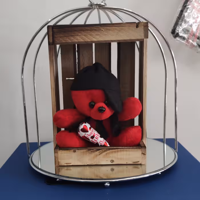 باکس خرس کلاهدار فانتزی