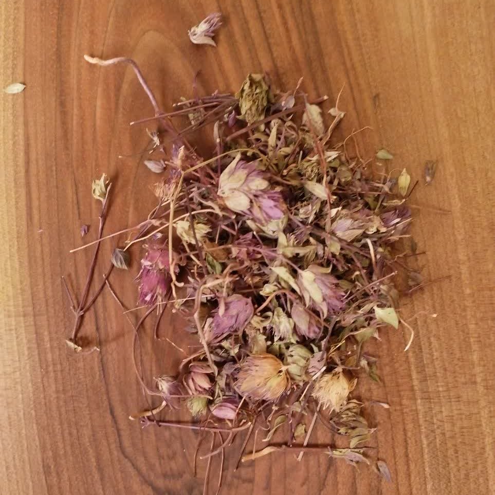 گل زوفا اعلا و درجه یک برداشت امسال در بسته بندی (50 گرمی)