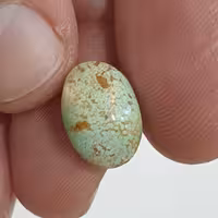 نگین فیروزه عنکبوتی نیشابوری معروف به تخم بلدرچینی