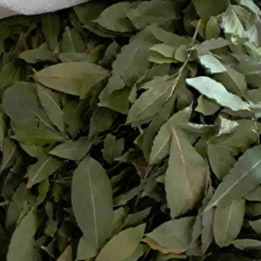 برگ بو 40گرمی