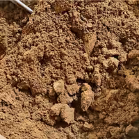 قهوه خرما ممتاز