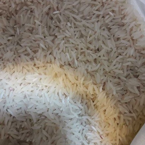 برنج دم سیاه محلی شمال