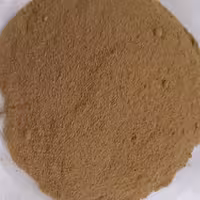 رزماری پودر شده