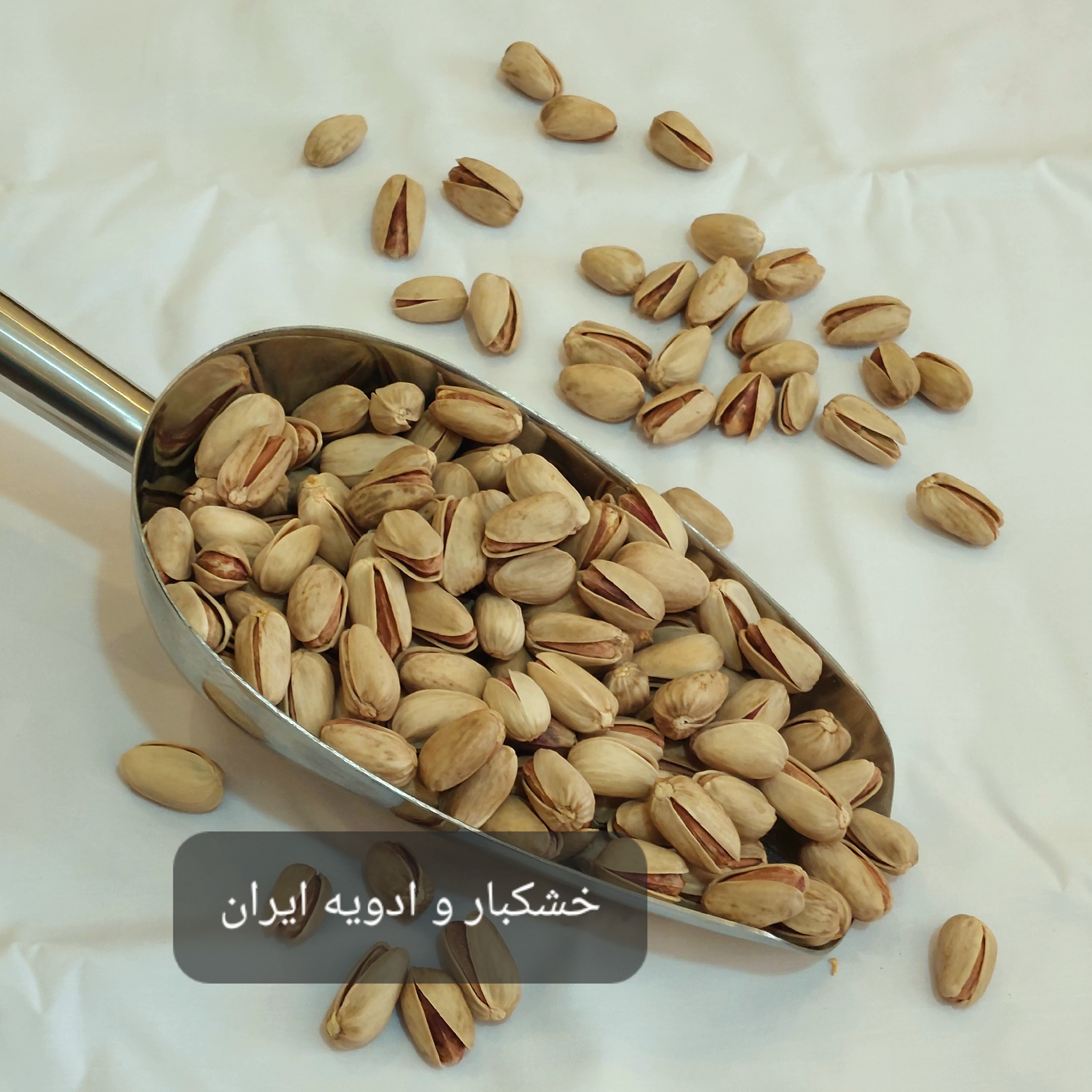 پسته خام اکبری دستچین
