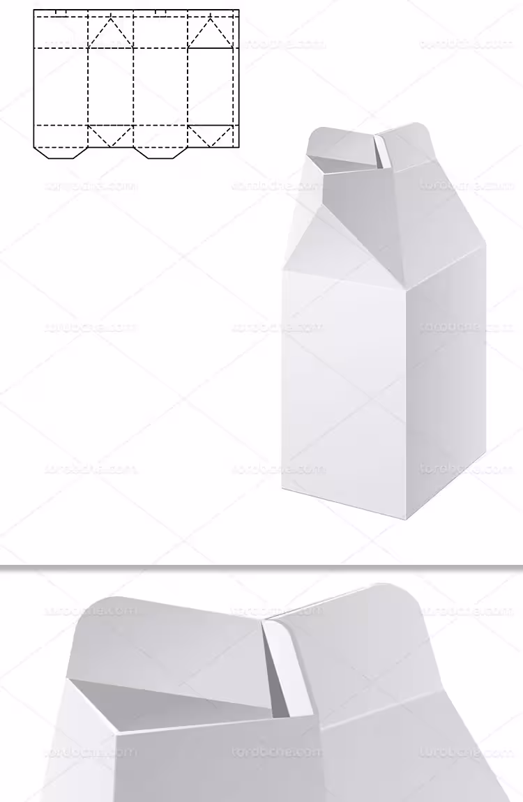 طرح گسترده بسته بندی مقوایی | گرافیک با طعم تربچه