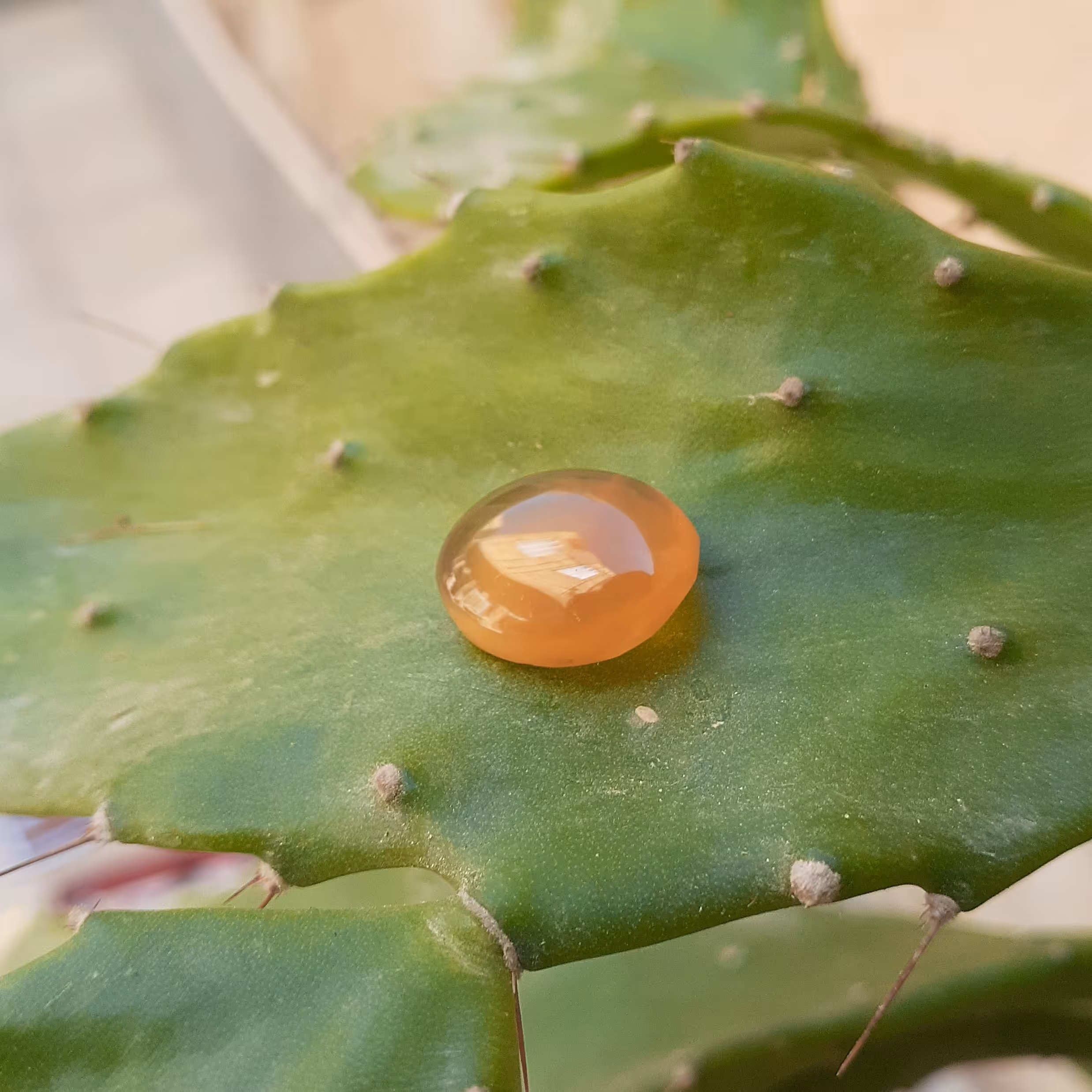 عقیق یمنی با دعای شرف الشمس برای افزایش رزق و روزی