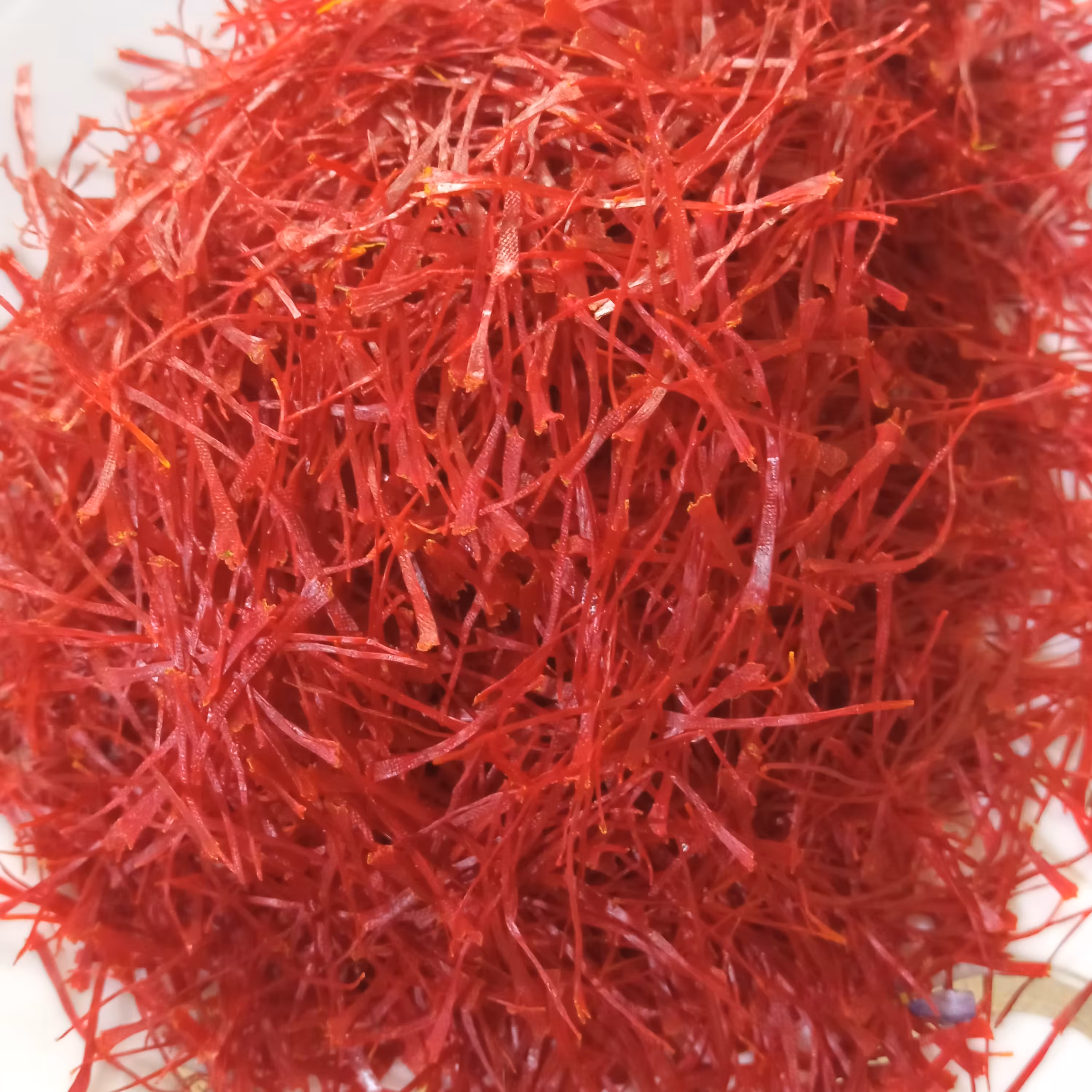 زعفران سوپر نگین اتویی قاینات درجه یک کیفیت عالی محصول ابان1402