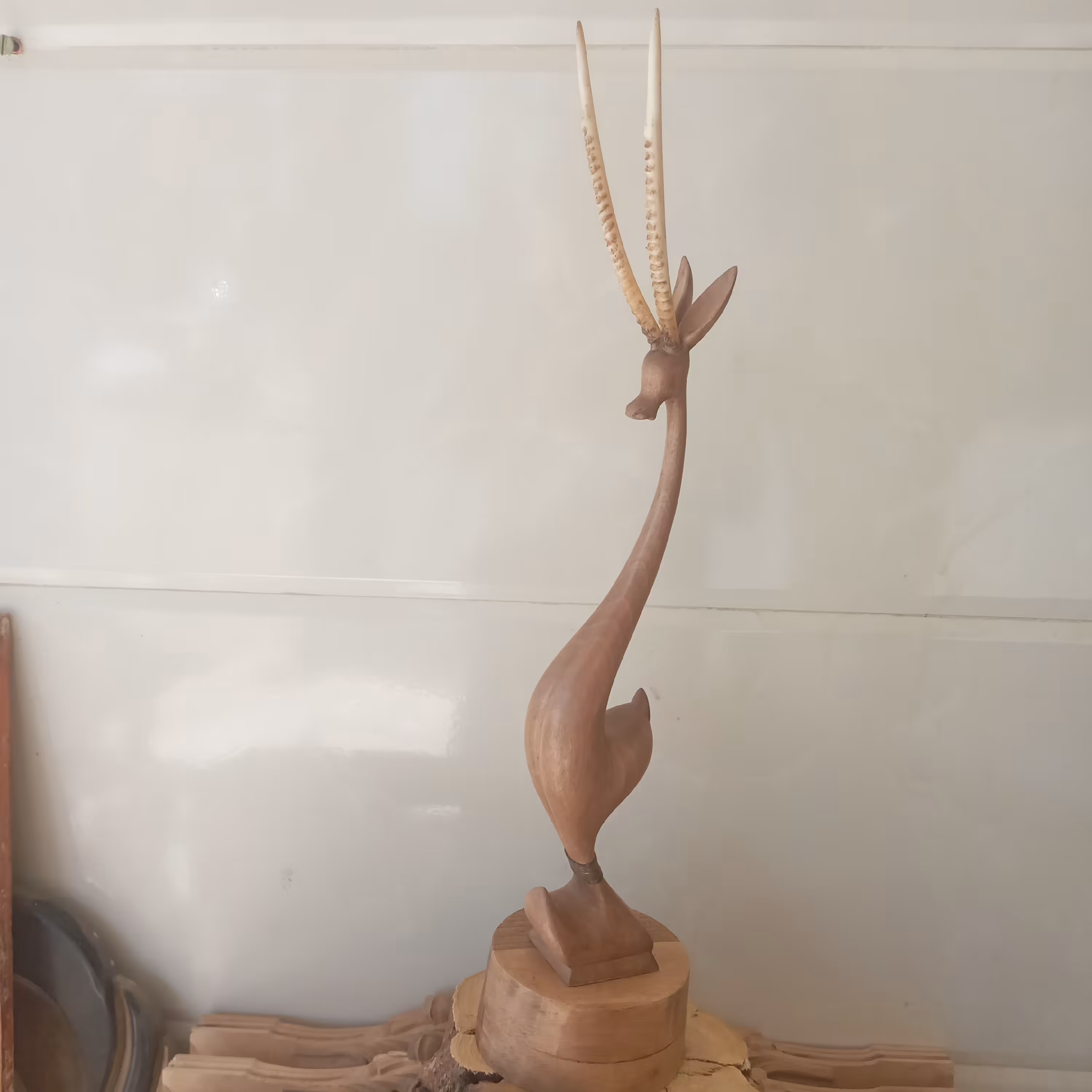 غزال منبت. انتزایی 