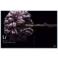 Adobe Photoshop Lightroom CC 6.5.1