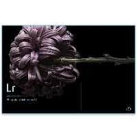 Adobe Photoshop Lightroom CC 6.5.1