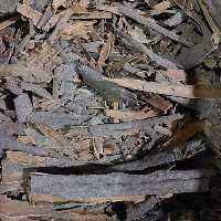 چوب دارچین گلسرخی درجه 1با وزن 1000گرم 