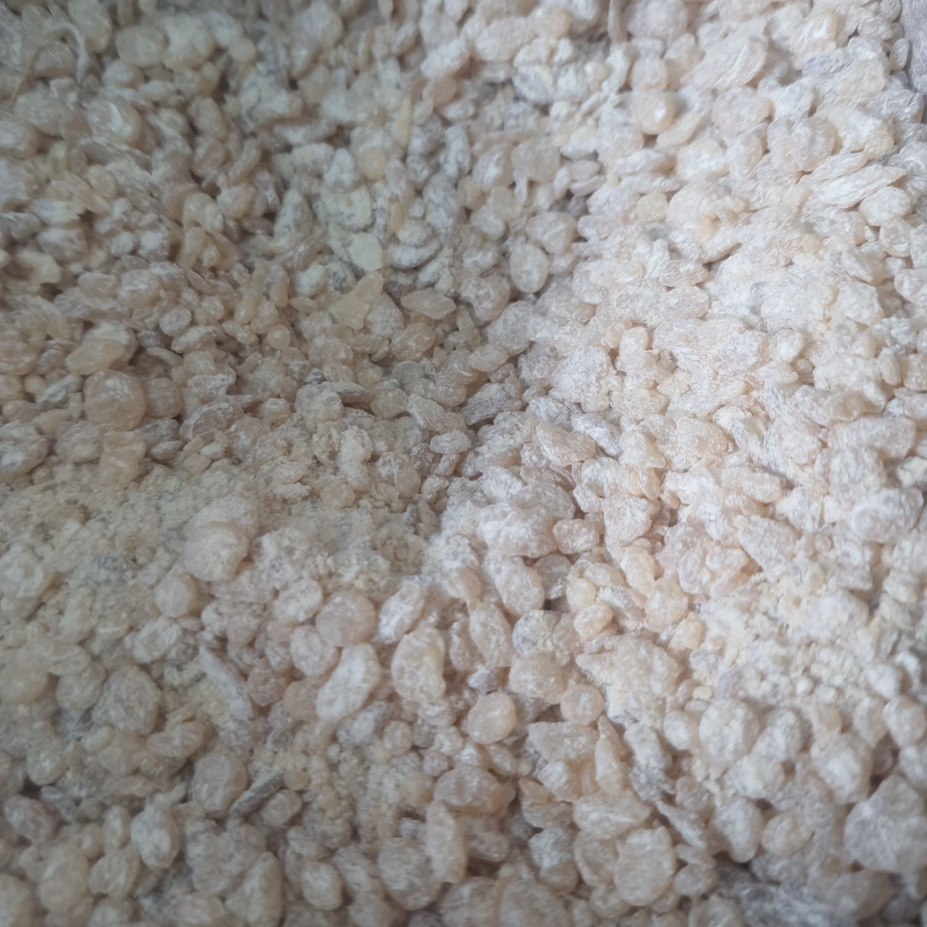 مصطکی 75 گرم