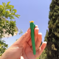 پاکن کاکتوس 