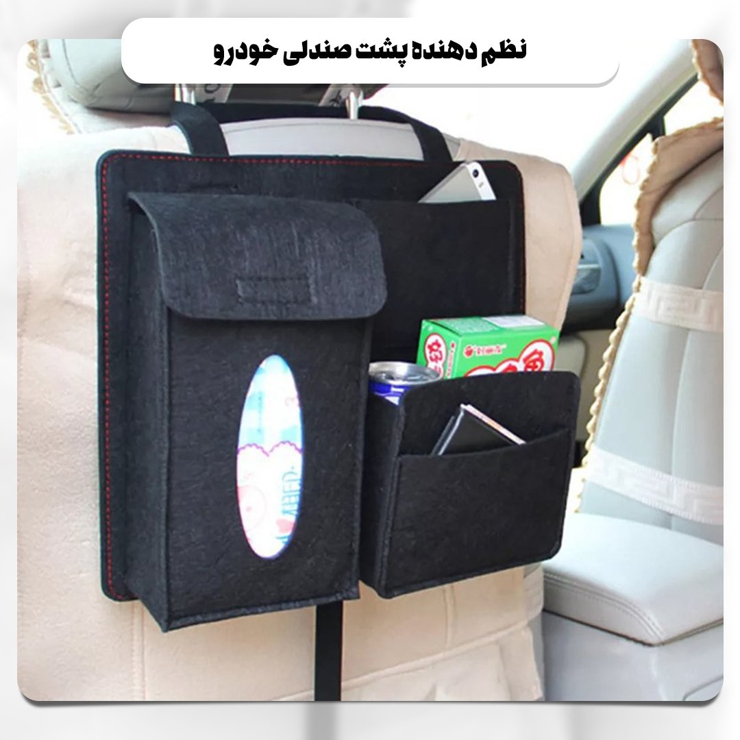 نظم دهنده پشت صندلی خودرو