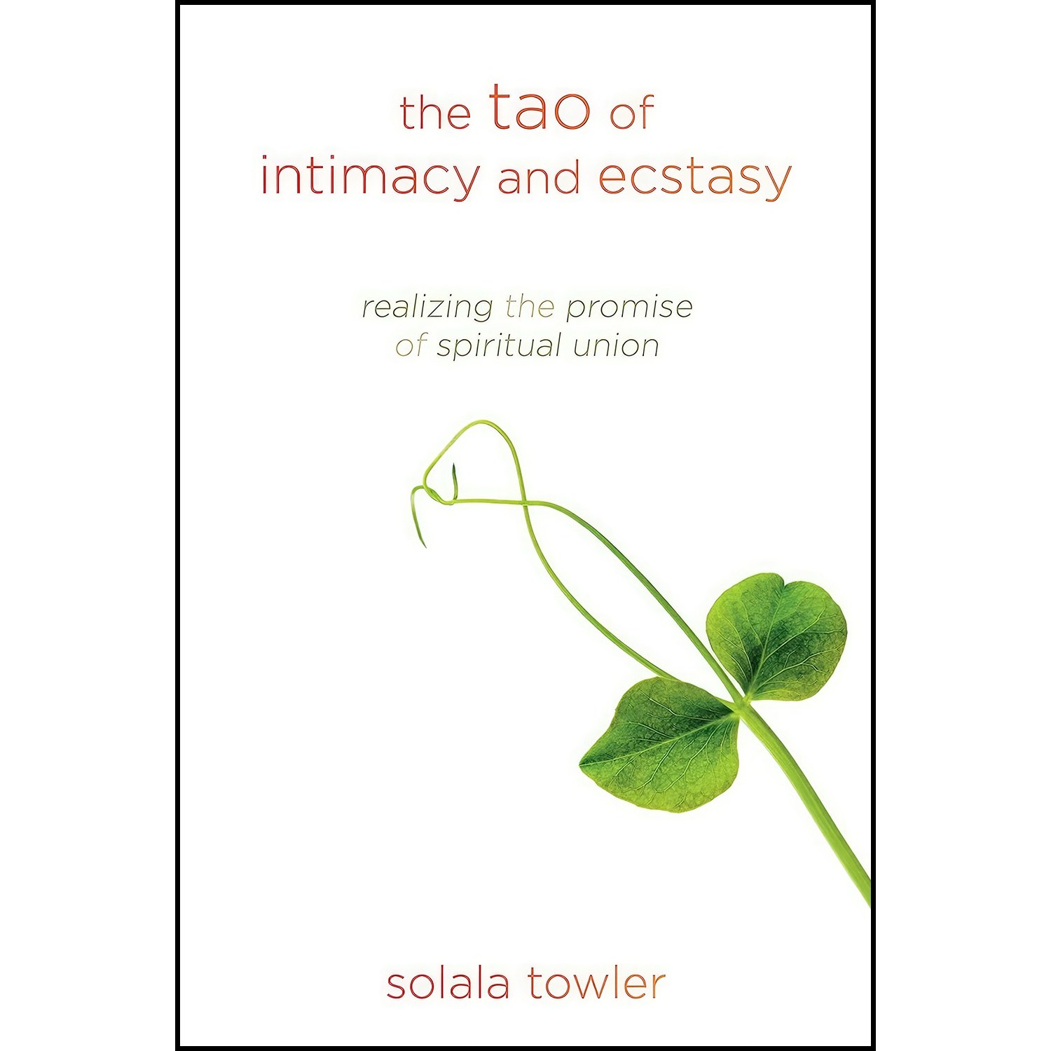 کتاب زبان اصلی The Tao of Intimacy and Ecstasy اثر Solala Towler