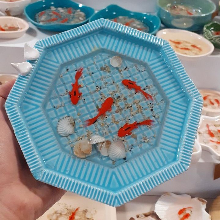 ماهی رزینی 6 ضلعی