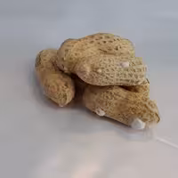 بادام زمینی با پوست