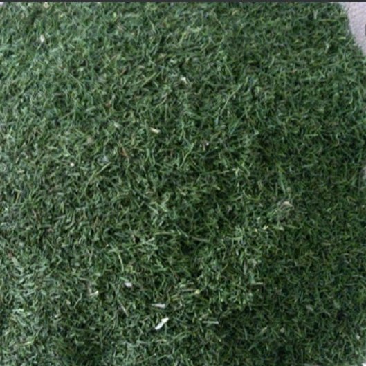 سبزی خشک شوید (100گرمی)