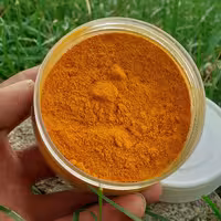 زردچوبه پودری پرتقالی 250 گرمی  