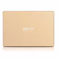 اس اس دی اینترنال اسکو 001 Gold Series ظرفیت 256 گیگابایت