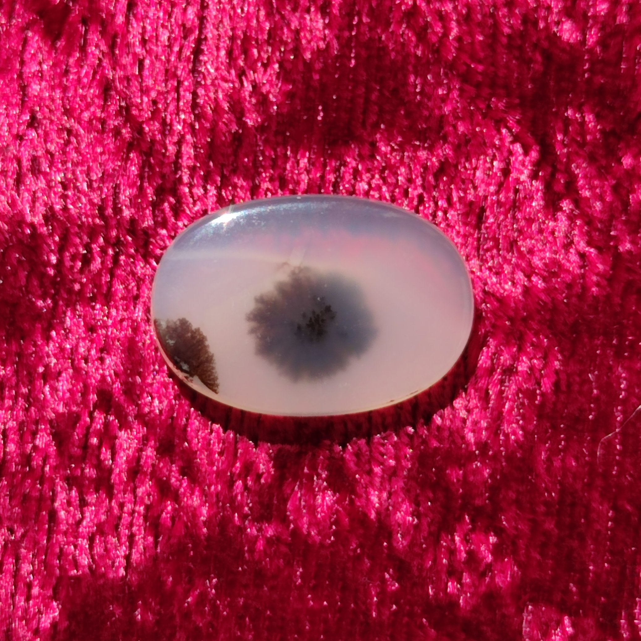 سنگ شجر قاین طبیعی و زیبا مدل بیضی رنگ سفید مشکی واضح