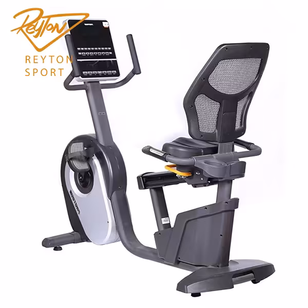 دوچرخه ثابت پشتی دار پروتئوس مدل PROMASTER R12